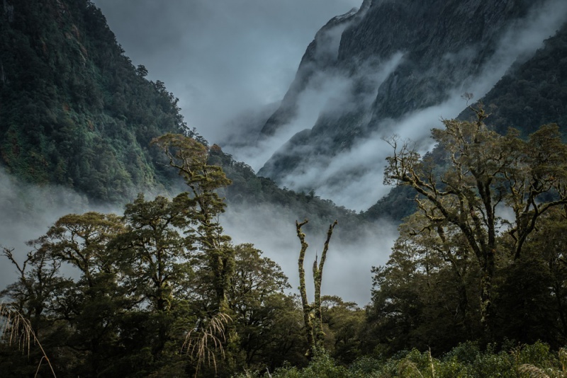 Best Things to do on New Zealand's South Island: Milford Track