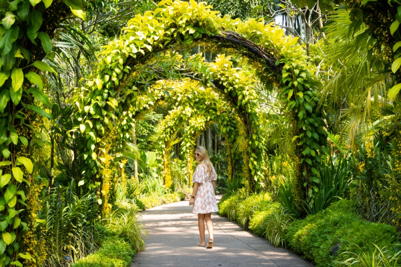 Top Things to See & Do in Singapore: Botanic Gardens