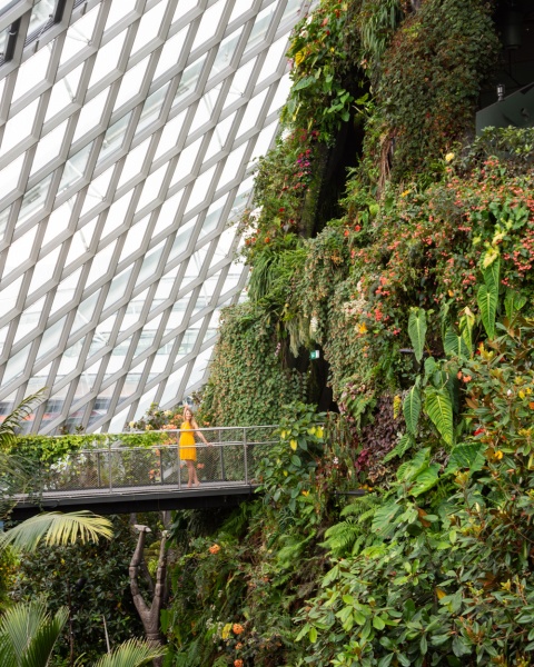 Top Things to See & Do in Singapore: Cloud Forest Dome at Gardens by the Bay