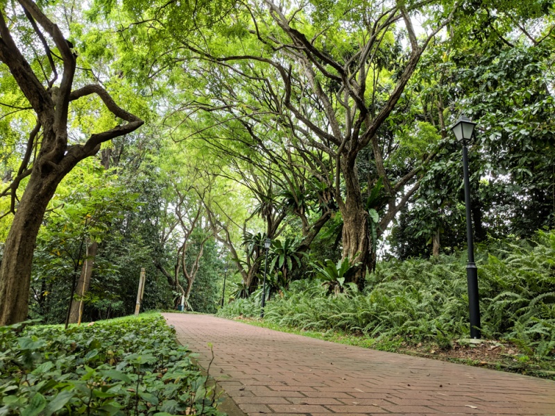 Top Things to See & Do in Singapore: Fort Canning Park