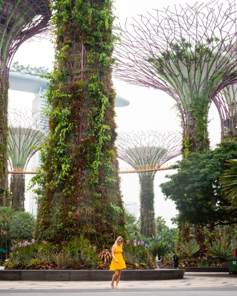 Top Things to See & Do in Singapore: Supertree Grove at Gardens by the Bay