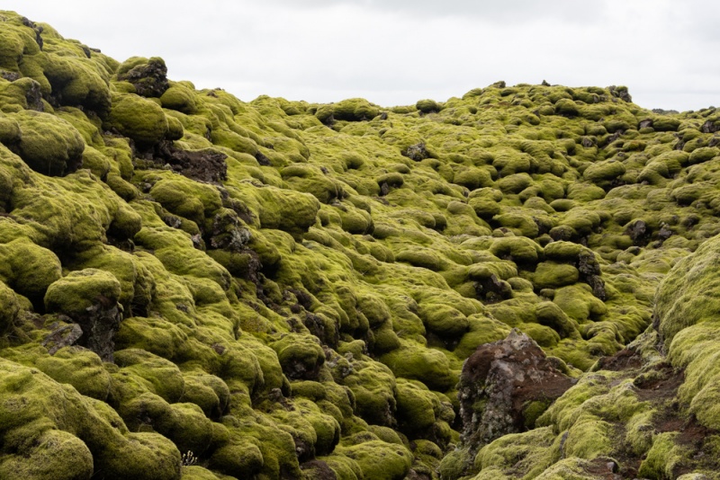 Iceland Itineray - Ring Road: Green Lava Walk