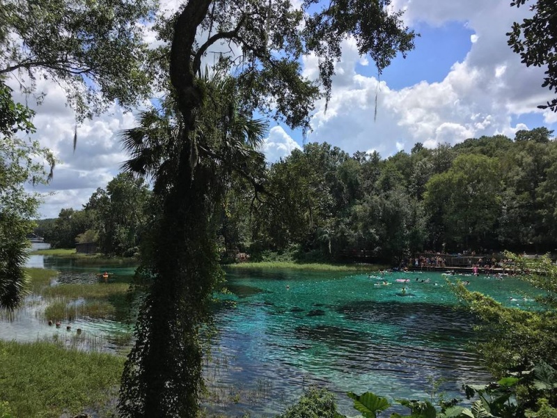 The Best Hot Springs in the USA: Best Hot Springs in America: What to Pack for the Hot Springs: Rainbow Springs State Park in Florida
