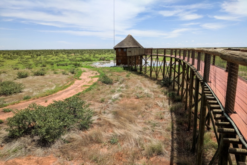 Etosha National Park: Namibia: Best Play to Camp: Olifantsrus Campsite