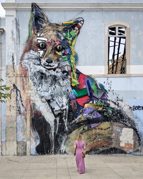 Top Things to do in Lisbon, Portugal: See Raposa de Bordalo II (Street Art)