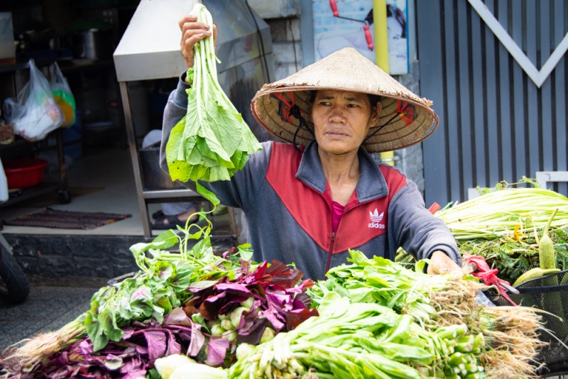 Herbs in Vietnam: Vietnamese Lettuce (Xà Lách)