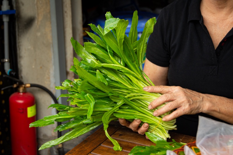 Vietnamese Herbs: Culantro - Ngo Gai (Ngò gai)