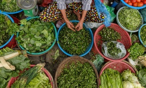 Herbs in Vietnam: A Lady Sells Vietnamese Herbs in the Market