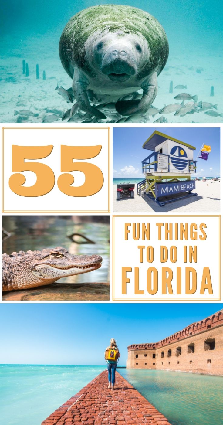 Best Things to See and Do in Florida