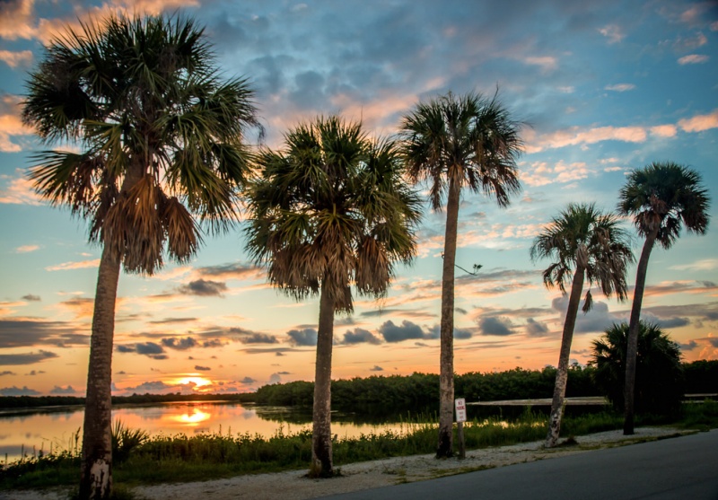 Best Things to see in Florida: Sanibel Island at Sunset