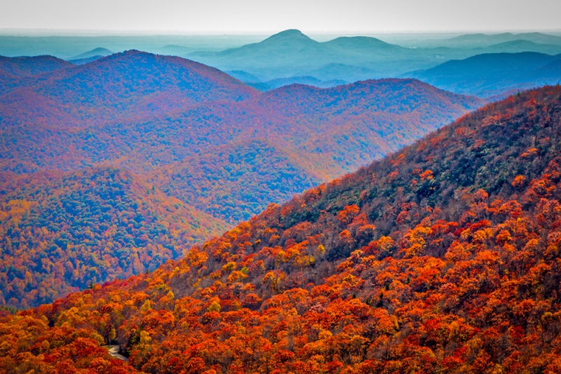 Georgia (USA) - Best Things to Do & See: Brasstown Bald