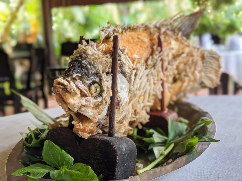 Specialty Food in the Mekong River Delta: Friedn Elephant Fish