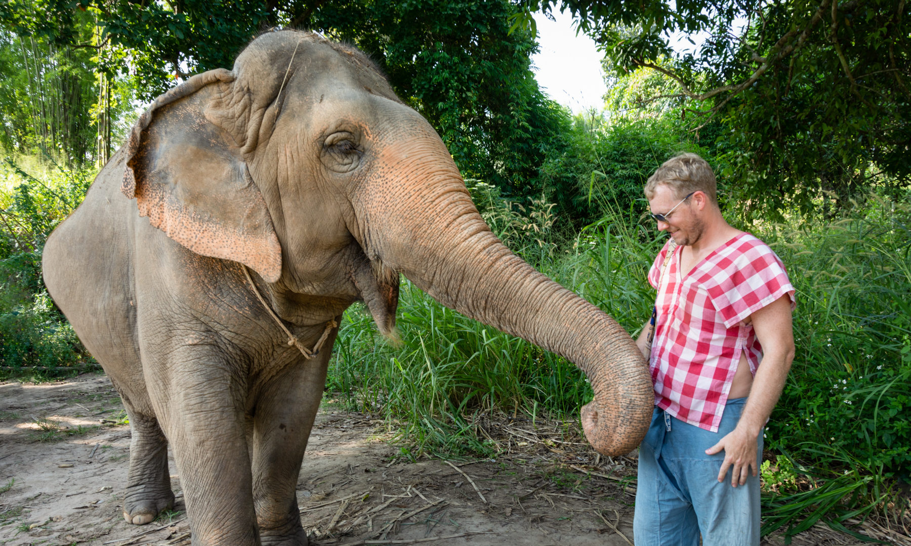 Best Elephant Sanctuary in Chiang Mai: Maerim Elephant Sanctuary