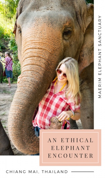 Maerim Elephant Sanctuary: The Best Elephant Sanctuary in Chiang Mai, Thailand