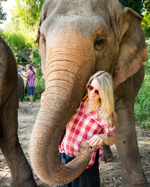 Thailand Itineray - 2 Weeks: Chiang Mai Elephant Sanctuary