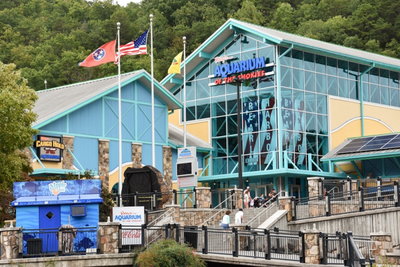 What to do in Gatlinburg, Tennessee: Ripley's Aquarium of the Smokies