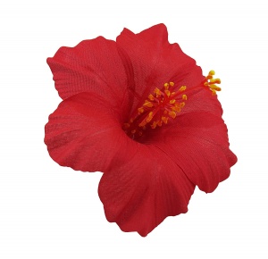 What to Pack for a Vacation in Hawaii: Hair Flower Hawaiian