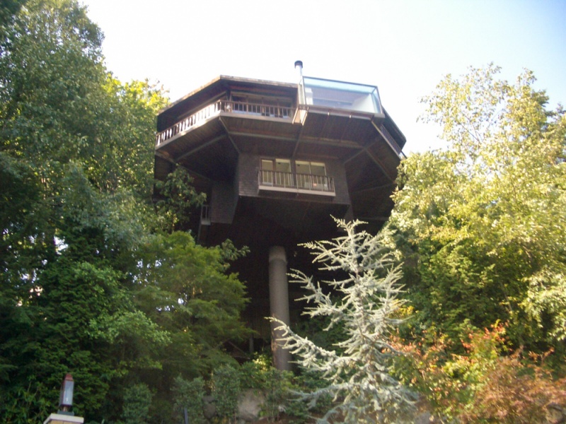 Best Airbnbs in Portland, Oregon: Saul Zaik Treehouse