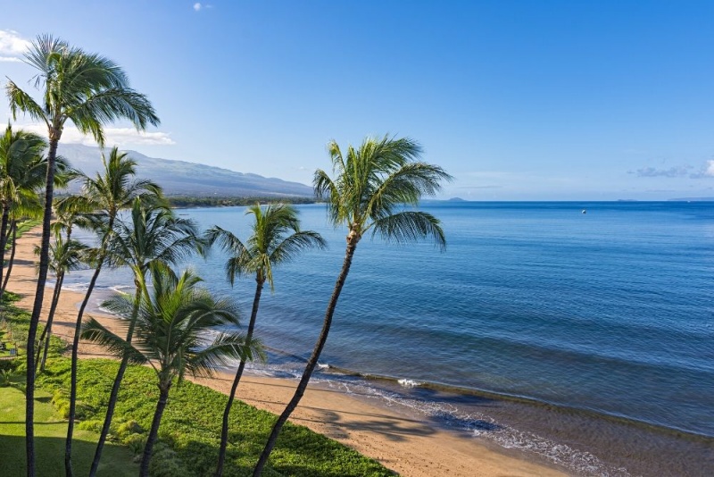 Best Maui Airbnbs in Kihei, Hawaii (Sugar Beach)