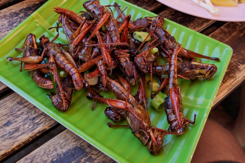 Portland, Orgeon Neighborhoods: Fried Grasshoppers at Mee Sen Thai Eatery