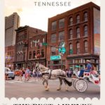 Best Airbnbs in Nashville, Tennessee