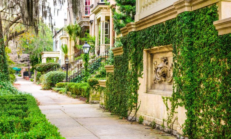 Best Airbnbs in Savannah, Georgia: Vacation Rentals