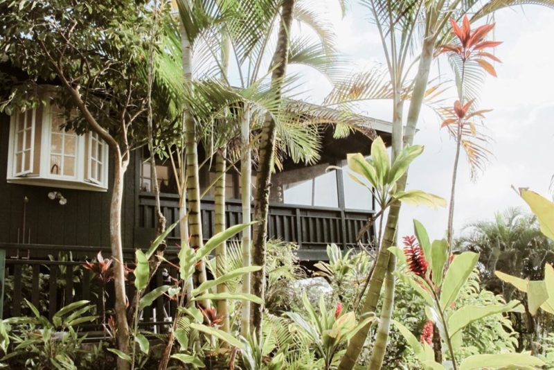 Airbnb Kauai, Hawaii Vacation Homes & Rentals: Nico Hale Jungle Cottage