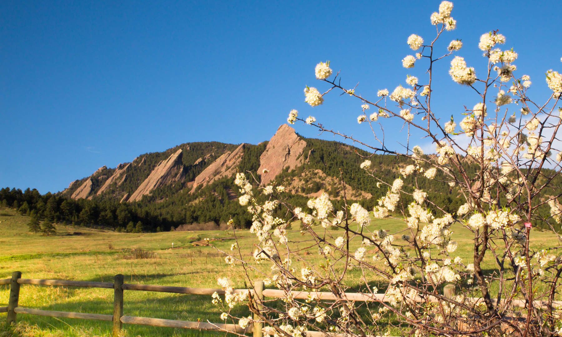 Best Airbnbs in Boulder, Colorado (Vacation Homes & Short-Term Rentals)