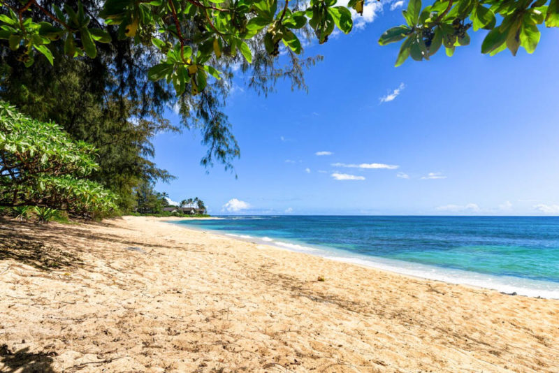 Kauai Airbnbs, Vacation Homes, & Rentals: Hale Kamapua'a