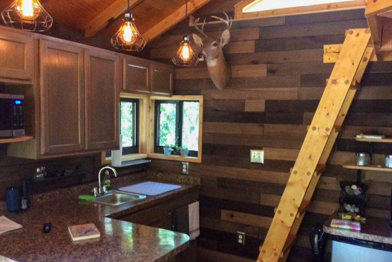 Unique Disney World Airbnbs & Vacation Rentals: Treehouse in the Woods