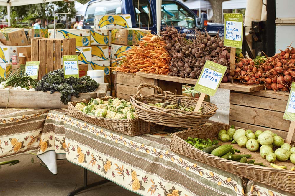 9 Incredible Airbnbs in Boulder, Colorado Wandering Wheatleys