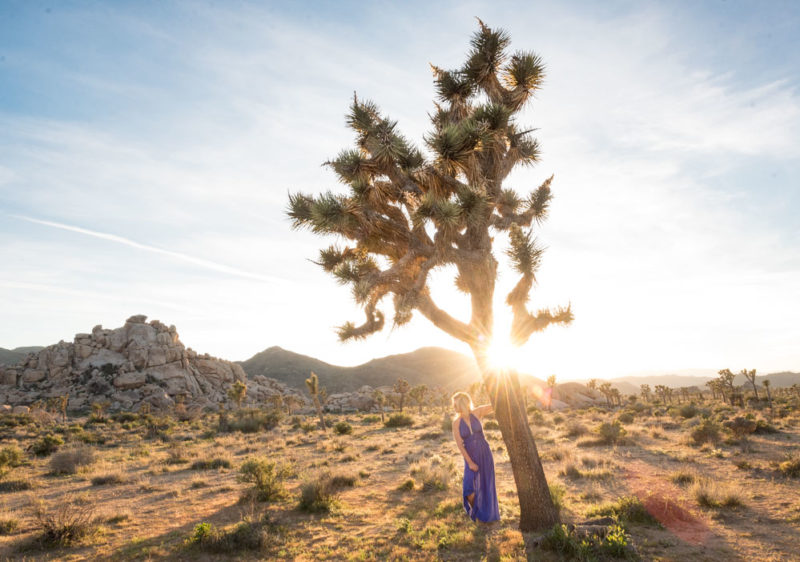 Why Stay in an Airbnb in Joshua Tree, California