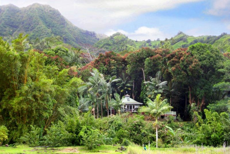 Best Airbnbs in Haneli Bay, Kauai: Romantic Garden Cottage