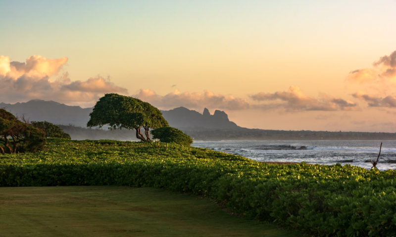 Best Airbnbs in Lihue, Kauai: Vacation Homes & Rentals