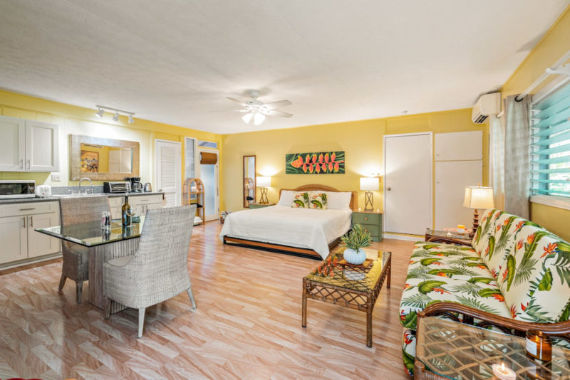 Best Airbnbs Kailua Beach: Pineapple Studio