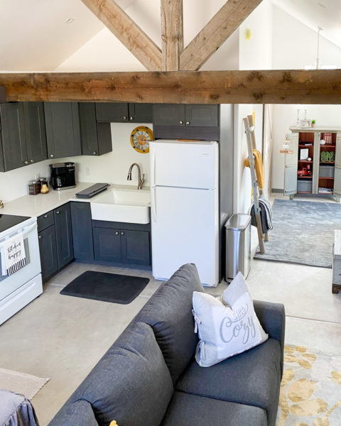 Cool Aspen Airbnbs & Vacation Rentals: Alpaca Farm Tiny House