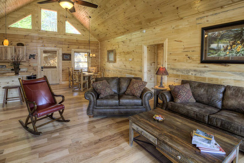 Cool Smoky Mountains Airbnbs & Vacation Rentals: Black Bear Lodge