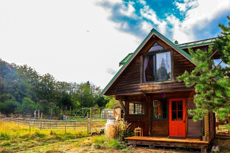 Unique Airbnbs in Seattle, Washington: Purple Martin Cabin