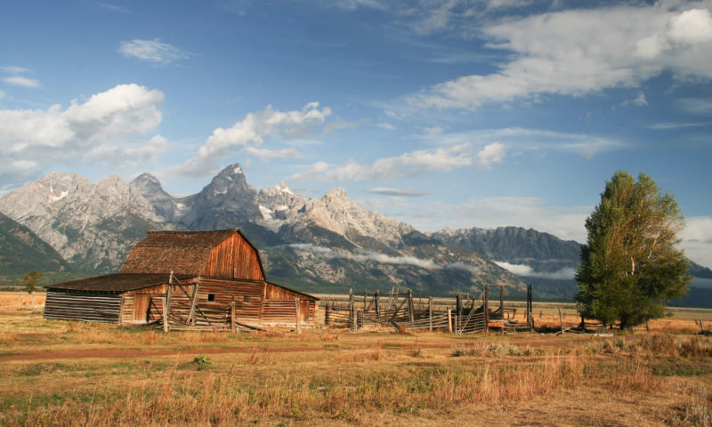 Airbnb Jackson Hole, Wyoming: Condos, Cabins, Glamping, Penthouses, Guesthouses, Ski Lodges, & Chalets
