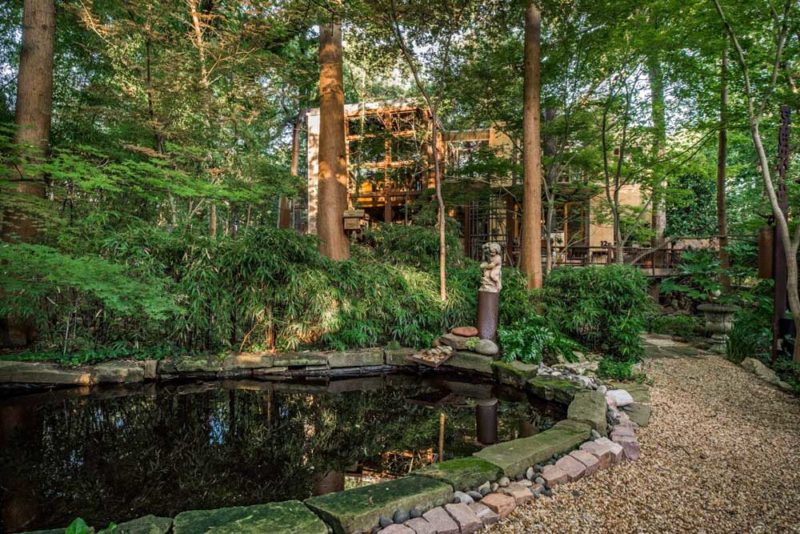 Best Airbnbs in Dallas, Texas: Little Forest Hills Treehouse