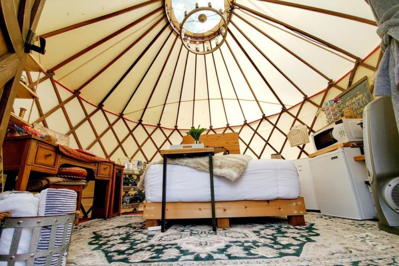 Best Airbnbs in San Antonio, Texas: Bohemian Yurt