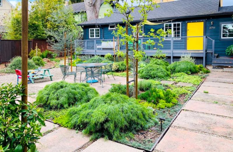 Best Berkeley Airbnbs and Vacation Rentals: Modern Cottage
