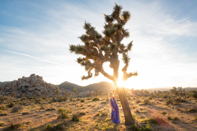 Best Things to do in California: Joshua Tree National Park Sunset