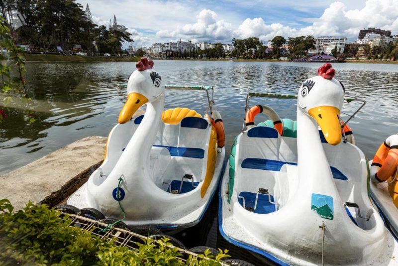 Best Things To Do in Dalat, Vietnam: Swan Boat