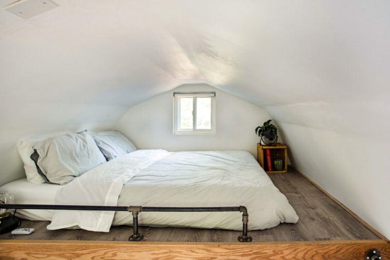 Charlotte Airbnbs & Vacation Homes: Tiny Barn