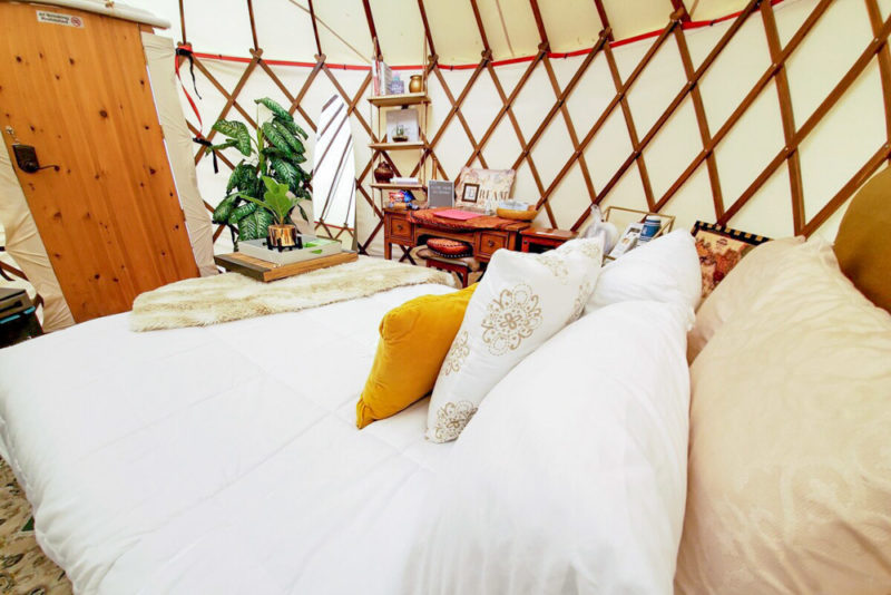 Coolest Airbnbs in San Antonio, Texas: Bohemian Yurt