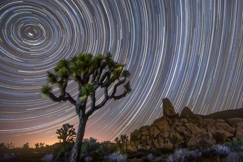Coolest Things to do in California: Camping in Joshua Tree