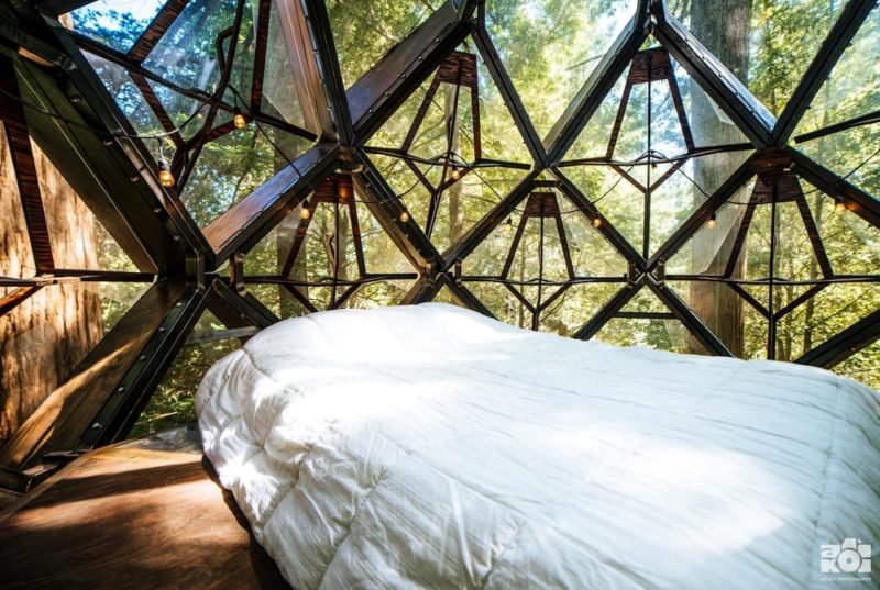 Unique Things to do in California: Stay at the Pinecone Treehouse, Santa Cruz