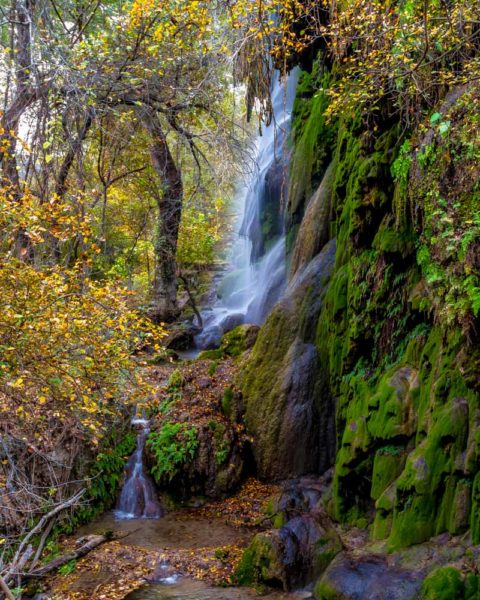 Texas Things To Do: Gorman Falls in Colorado Bend State Park