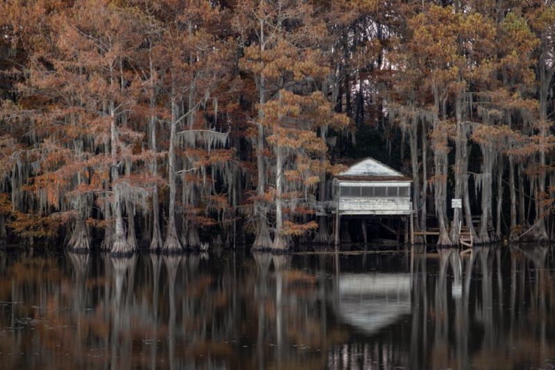 What To Do in Texas: Caddo Lake State Park